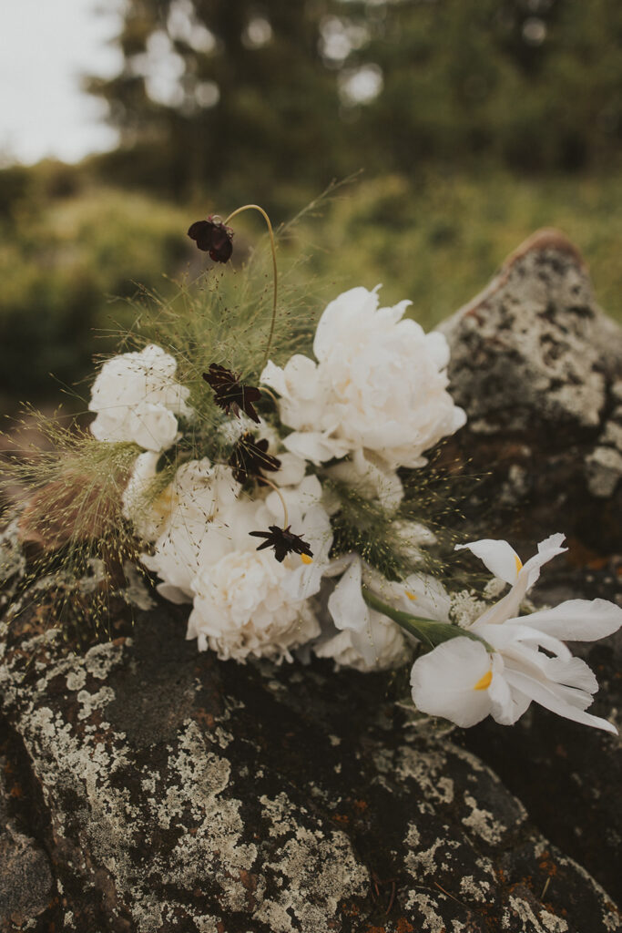 a grand teton elopement in the morning - kp adventure and photo
