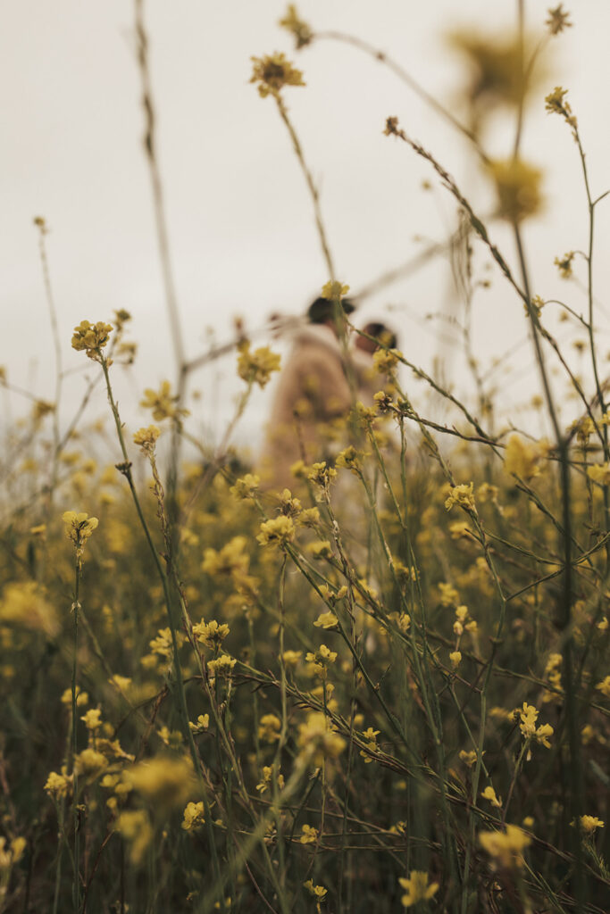 a costa rica field elopement photoshoot