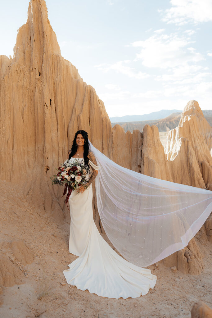 stunning picture of the bride at her dream bridal session