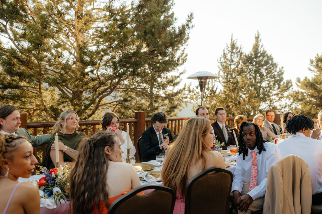 guests at the wedding reception party
