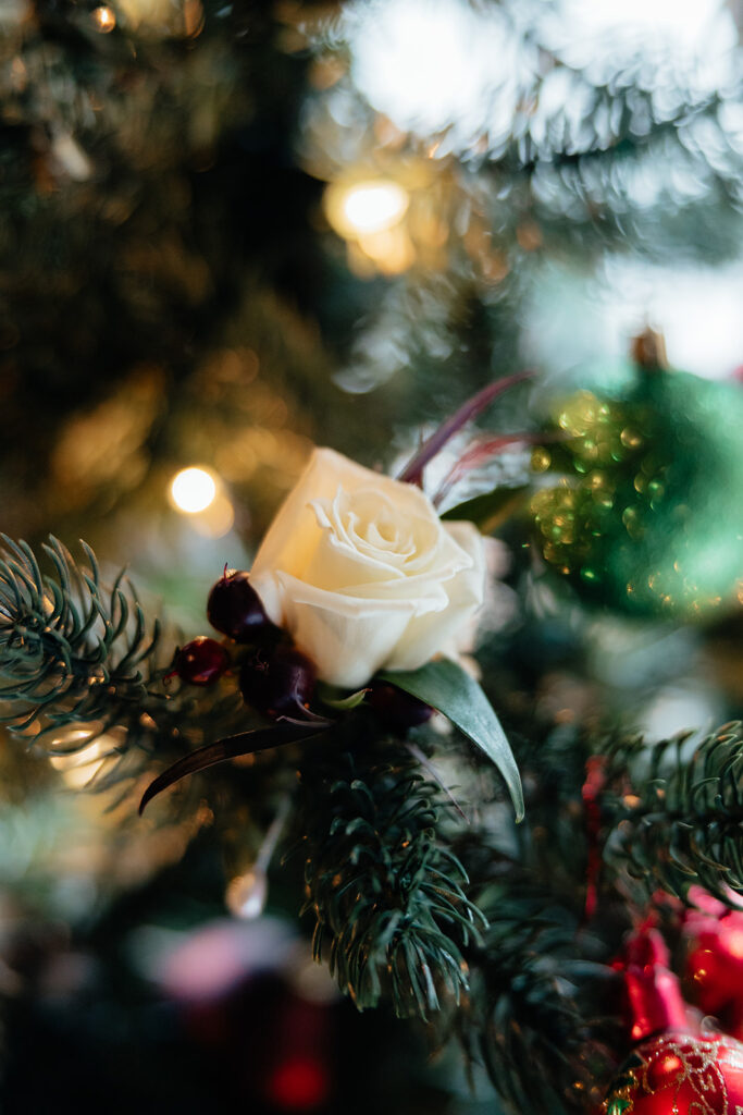 A Cozy Winter Wedding at Log Haven | An Intimate Mountain Celebration in Utah